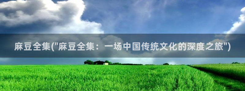 麻豆专区av：麻豆全集(\