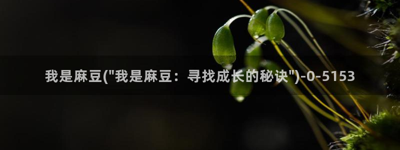 91麻豆国产专区在线观看