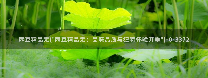 麻豆精品免费：麻豆精品无(\