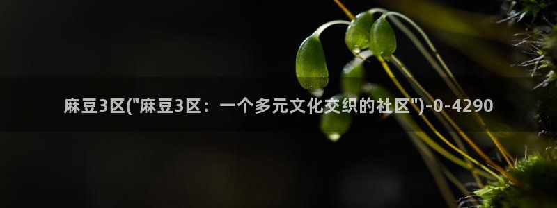 麻豆.com