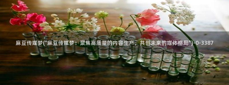 麻豆 专区：麻豆传媒梦(\