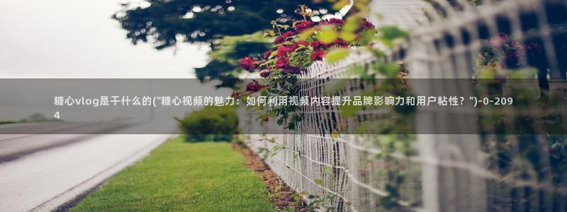 糖心vlog日常：糖心vlog是干什么的(\