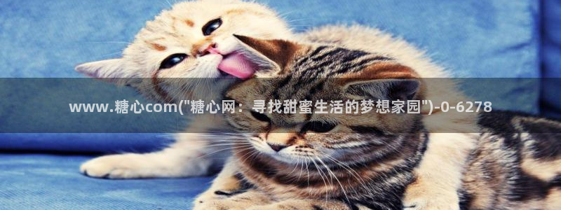 糖心vlog视频免费观看：www.糖心com(\