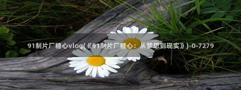 糖心vlog小巨：91制片厂糖心vlog(《91制片