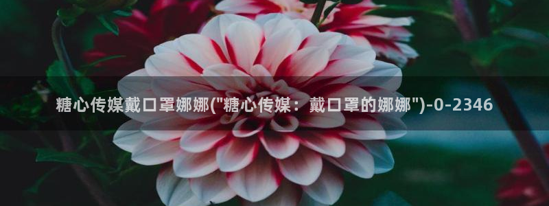 糖心vlog怎么安装：糖心传媒戴口罩娜娜(\