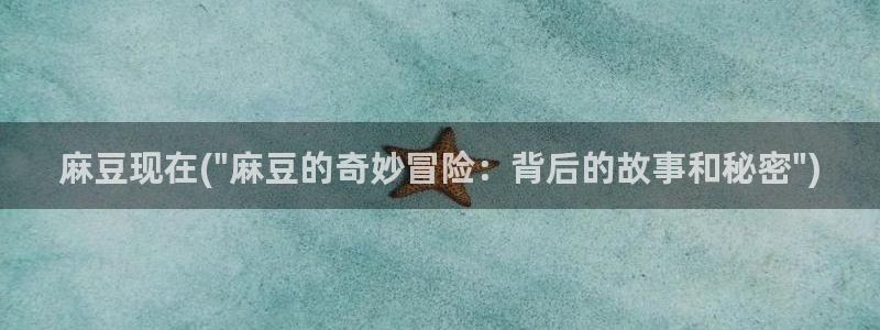 91麻豆专区：麻豆现在(\