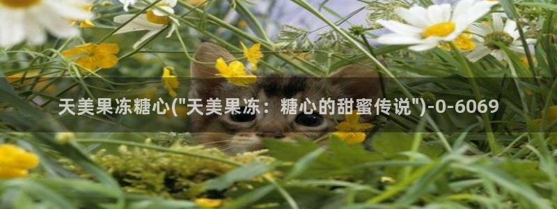 糖心 vlog御梦子：天美果冻糖心(\