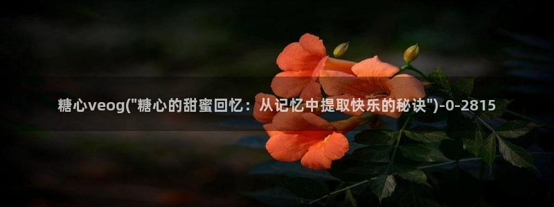 糖心vlog网页版免费观看