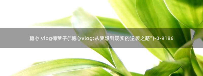 糖心velog