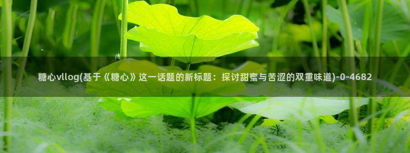 糖心vlog在线免费下载