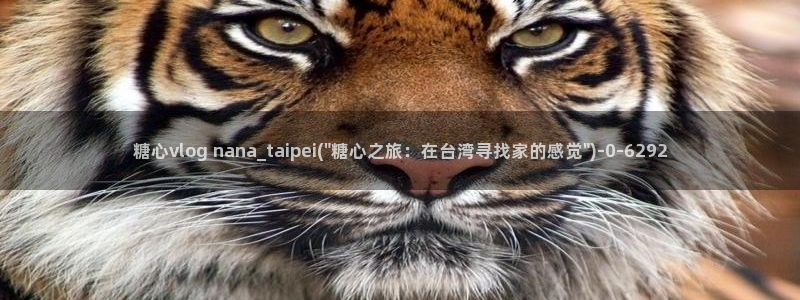 糖心vlogcom：糖心vlog nana_taipei(\